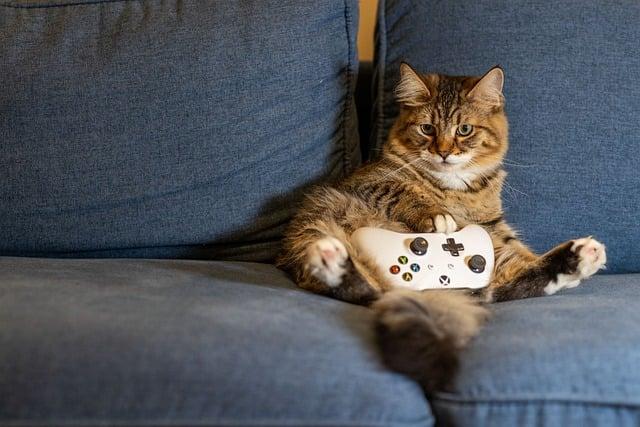 Tips for Responsible Gaming and Bonus Utilization